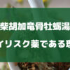 柴胡加竜骨牡蛎湯がハイリスク薬である理由を徹底解説【効果】